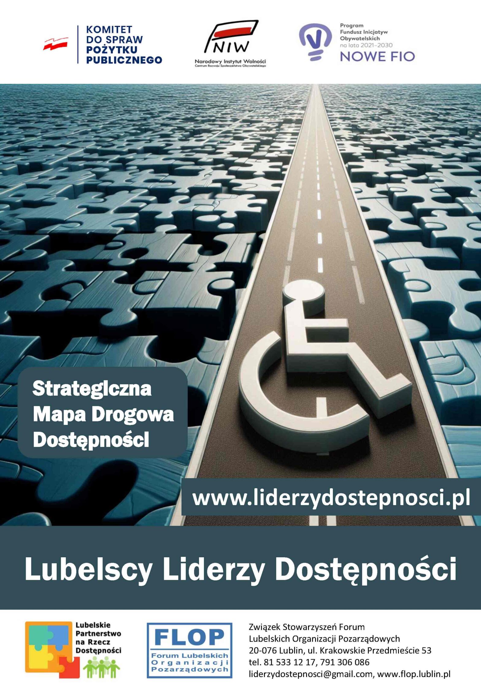 Strategiczna Mapa Drogowa Dostępności