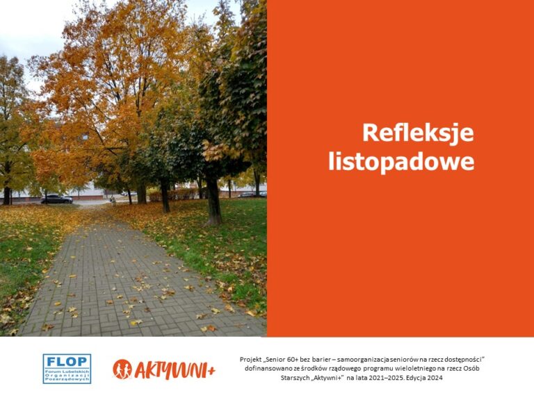 Ilustracja do artykułu: Refleksje listopadowe