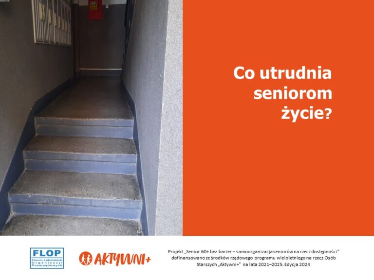 Ilustracja do artykułu: Co utrudnia seniorom życie?